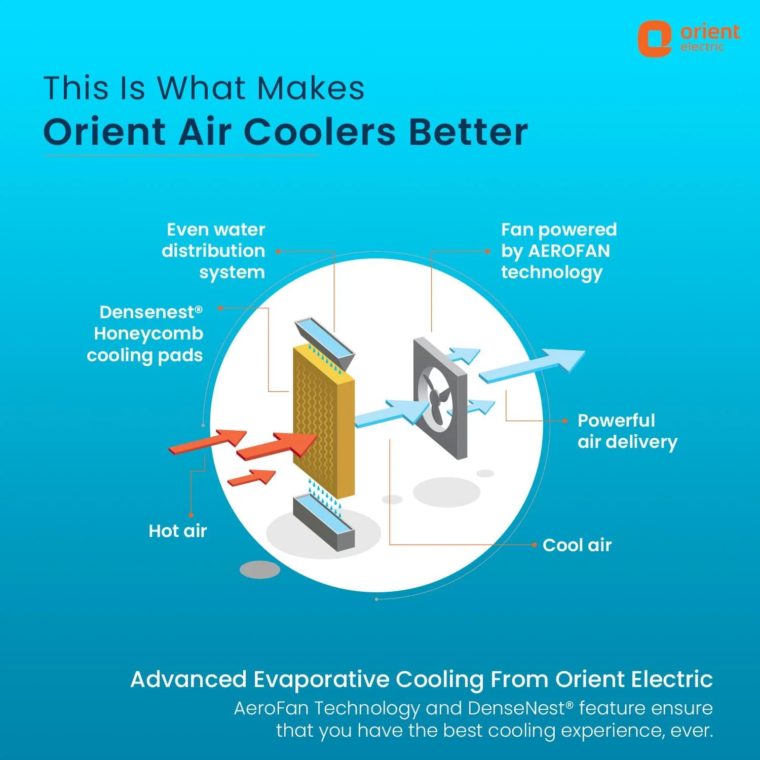 Ultimo Tower Air Cooler With Remote - Image 32